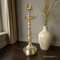 SacredFig Kerela Lamp with Peacock Motif in Brass | Brass Kerala Lamp, High Quality Premium Finish