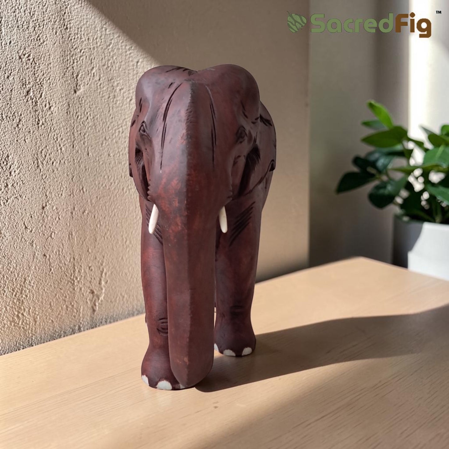 SacredFig Premium Red Elephant in Sheesham Wood  (12 in) | Vaastu and Decor