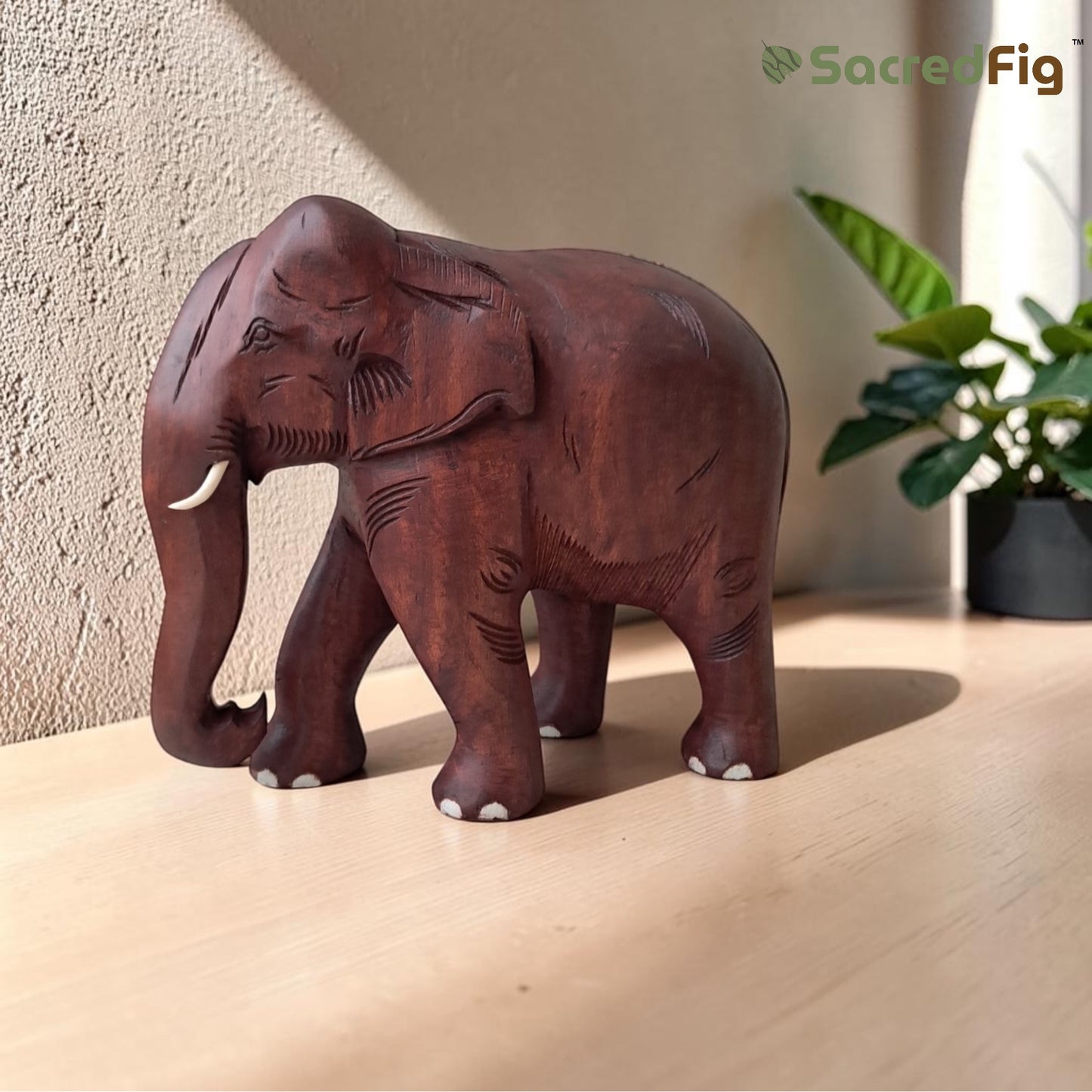 SacredFig Premium Red Elephant in Sheesham Wood  (12 in) | Vaastu and Decor
