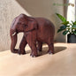 SacredFig Premium Red Elephant in Sheesham Wood  (12 in) | Vaastu and Decor