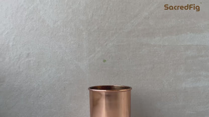 SacredFig Pure Copper Drinking Glass – 4 Inch | Handcrafted Tumbler for Ayurvedic Wellness & Daily Use